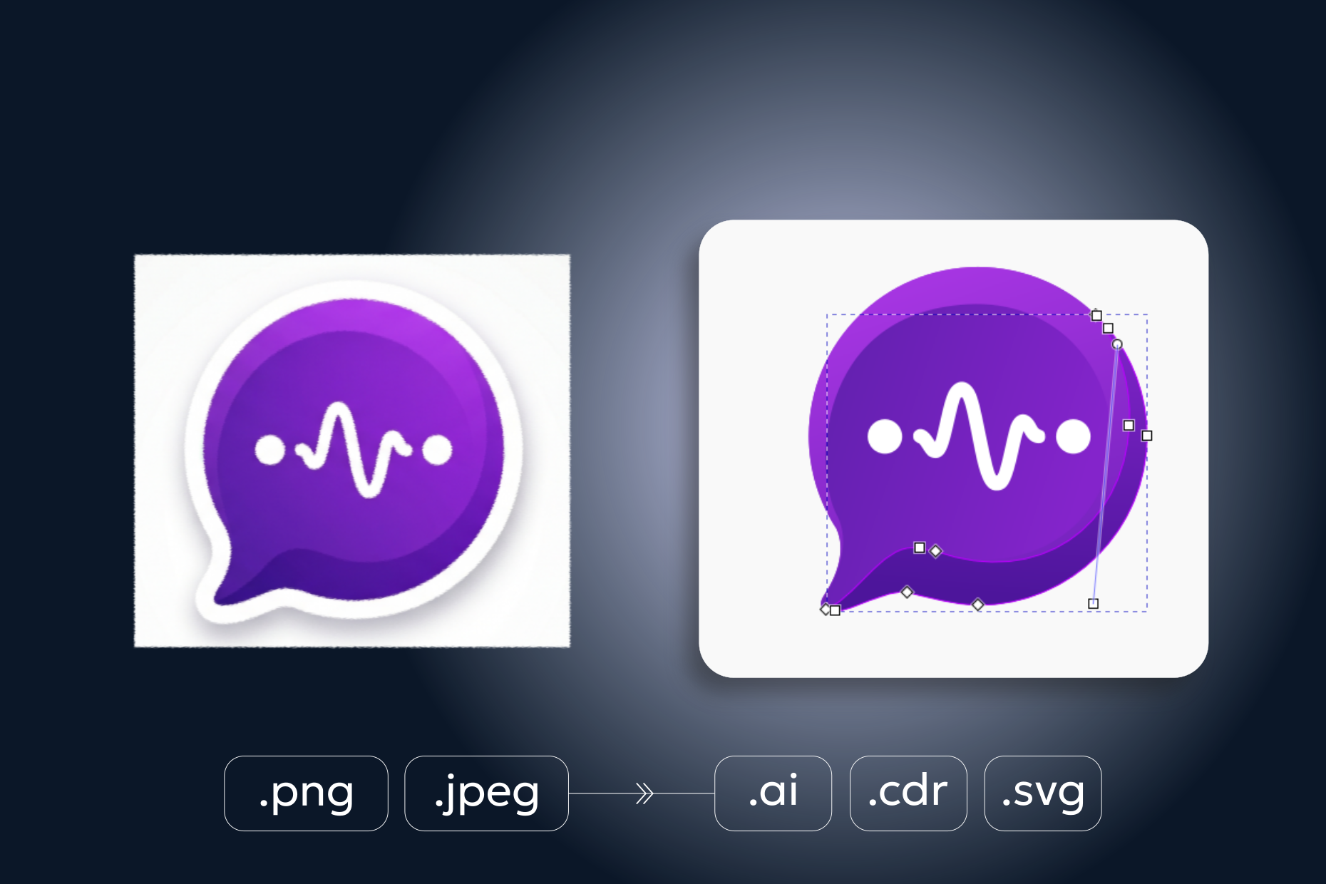 COVER_vector_1240_96_280426_g442.png