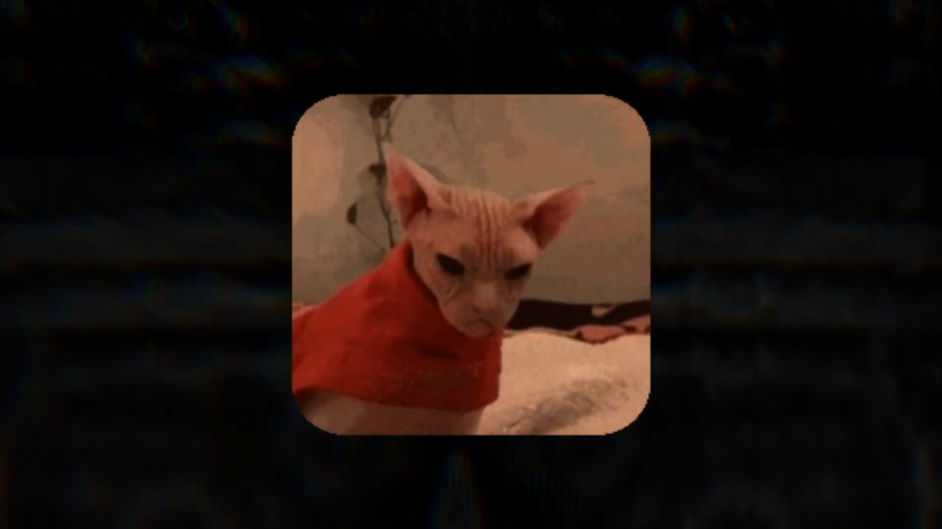 Снимок_экрана_2026_07_29_182015.png