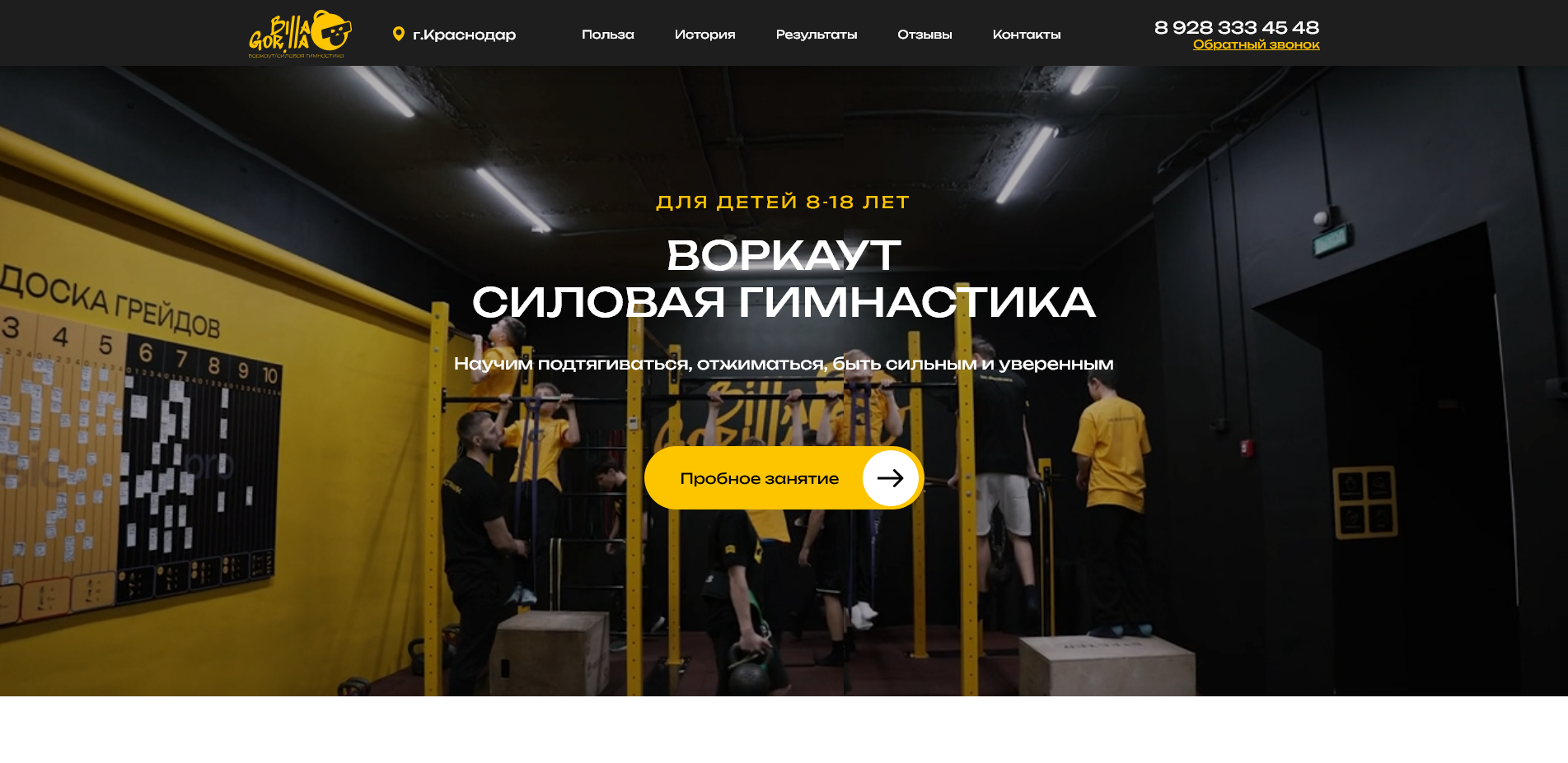 Разработка лендинга для школы воркаута и функционального фитнеса «Billa Gorilla» на WordPress