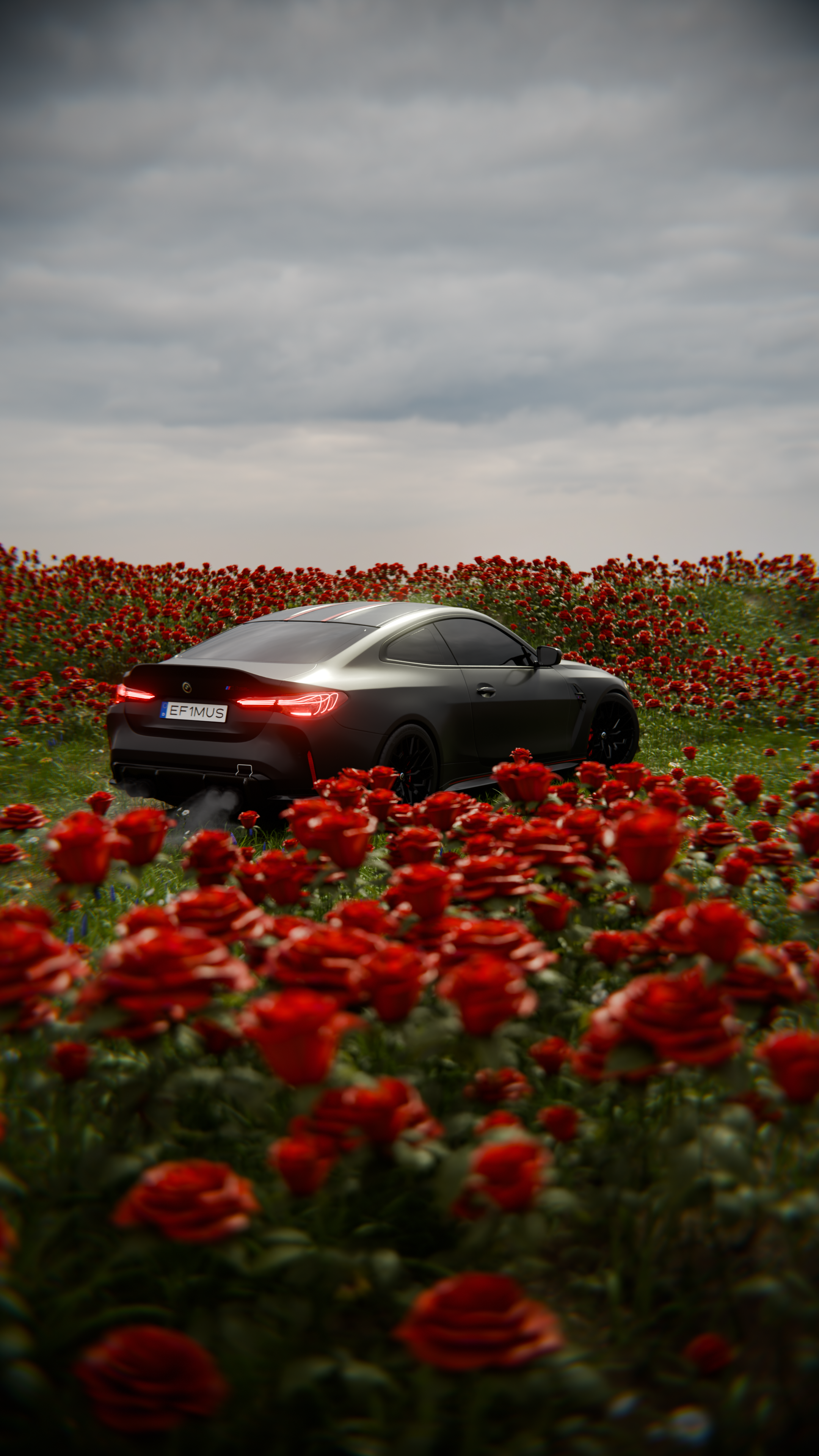 bmw_in_rose_1_1.png