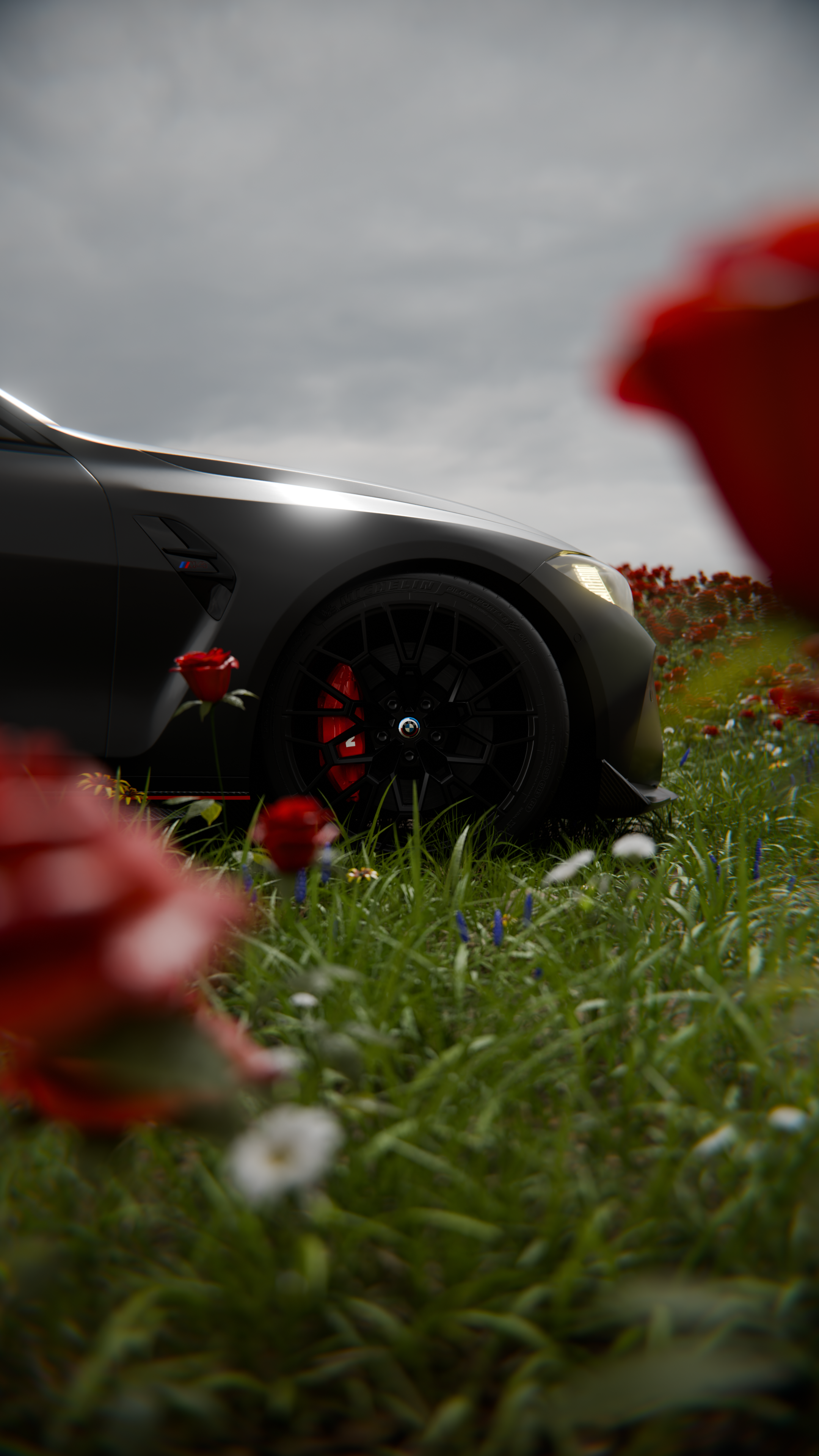 bmw_in_rose_1_2.png