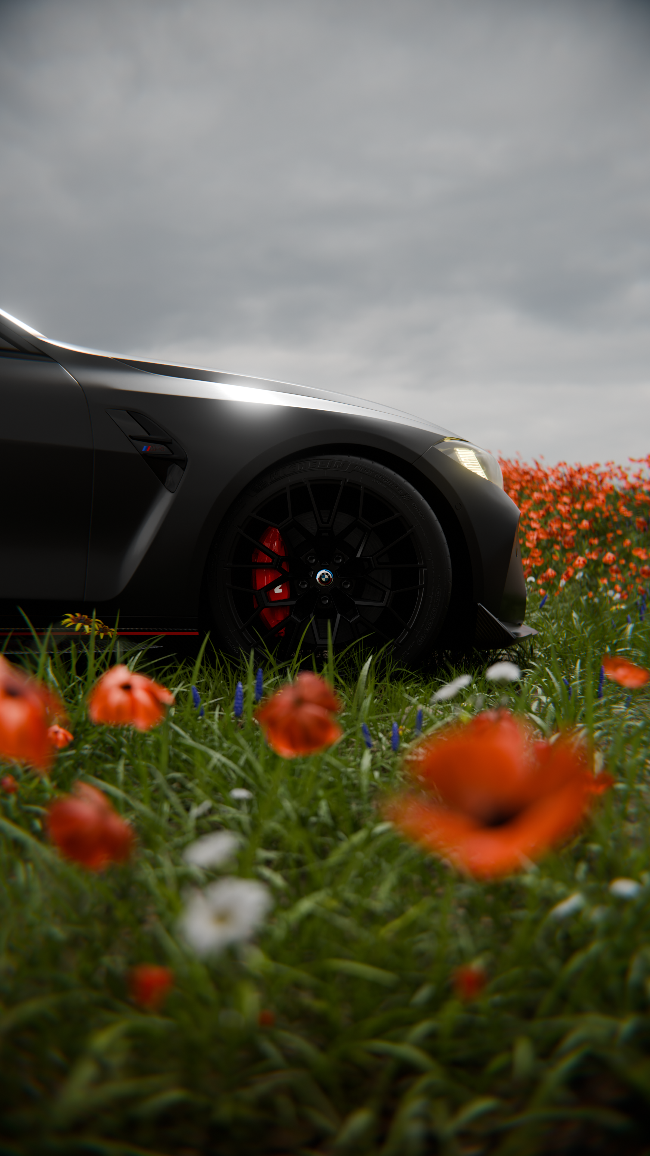 bmw_in_rose_2_2.png