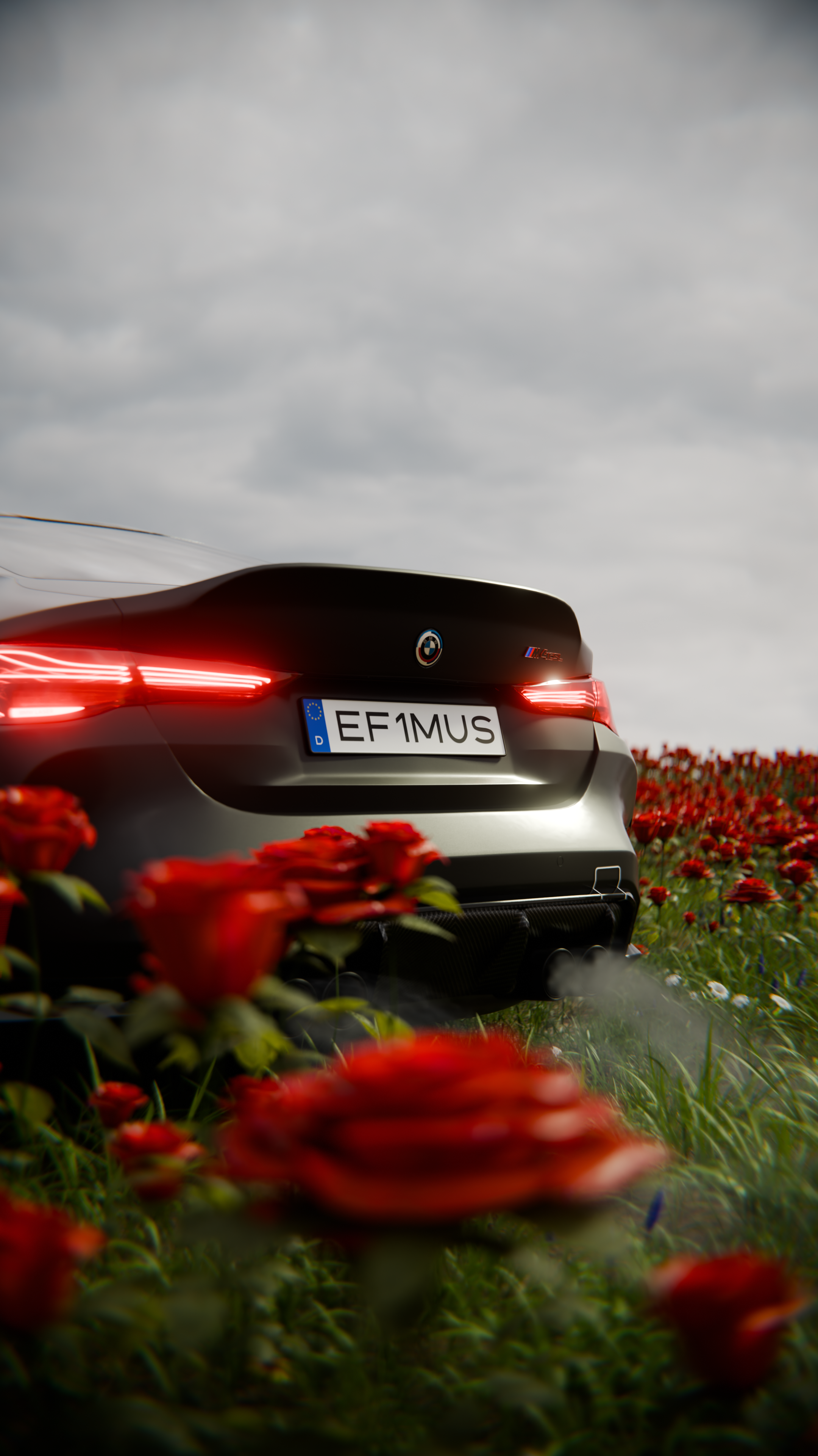 bmw_in_rose_1_4.png