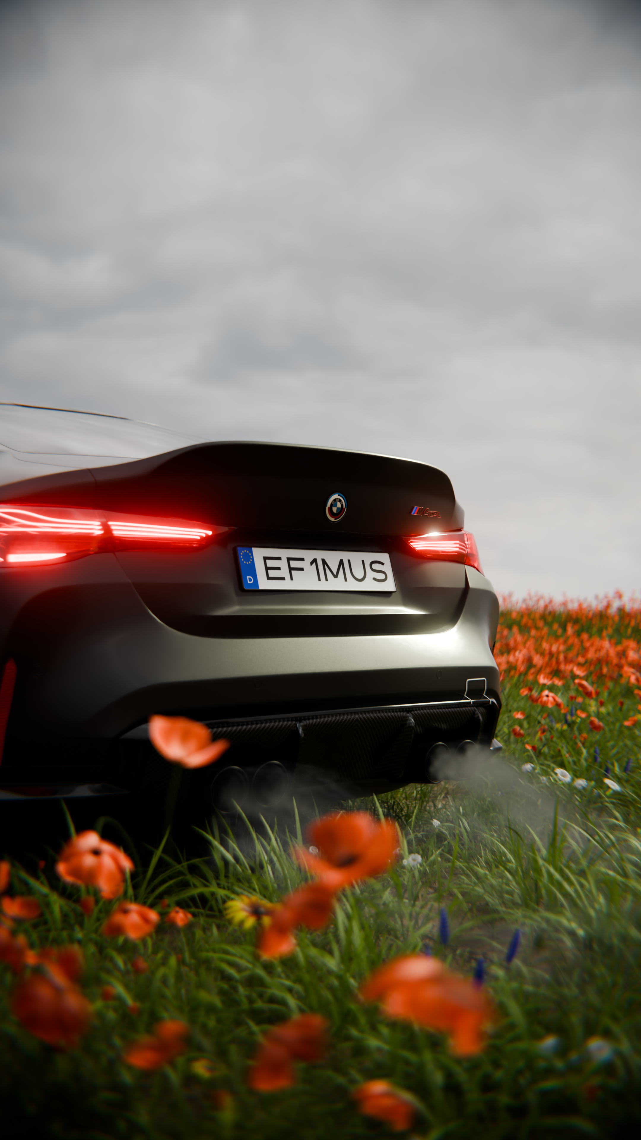 bmw_in_rose_2_4.png