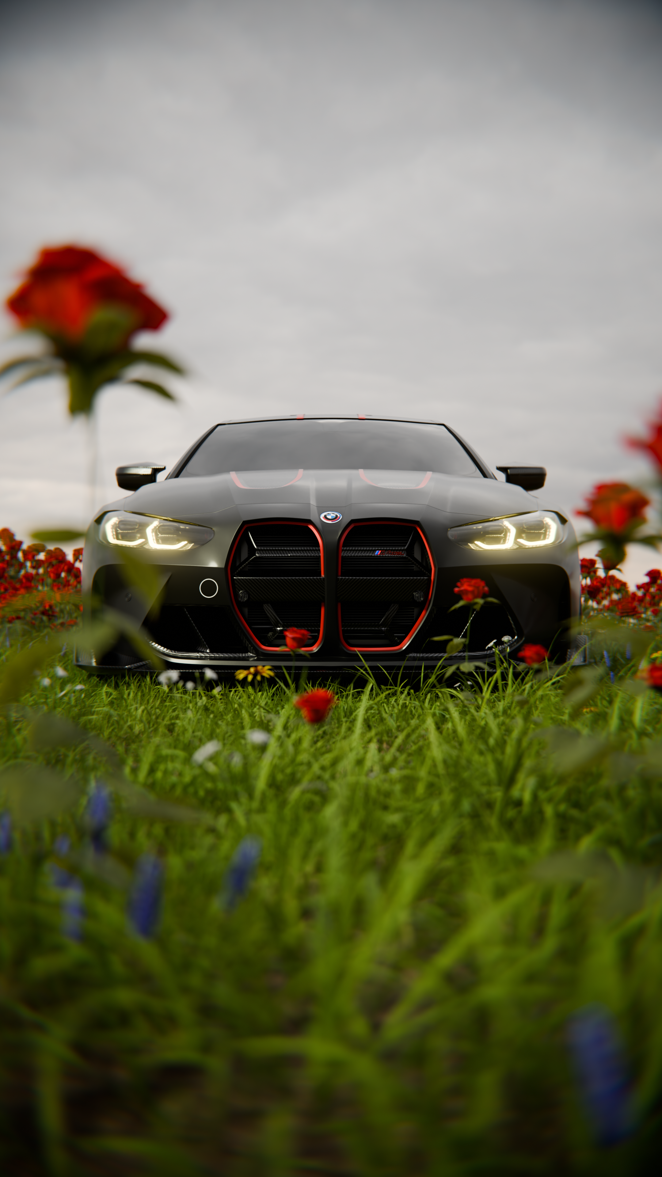 bmw_in_rose_1_5.png