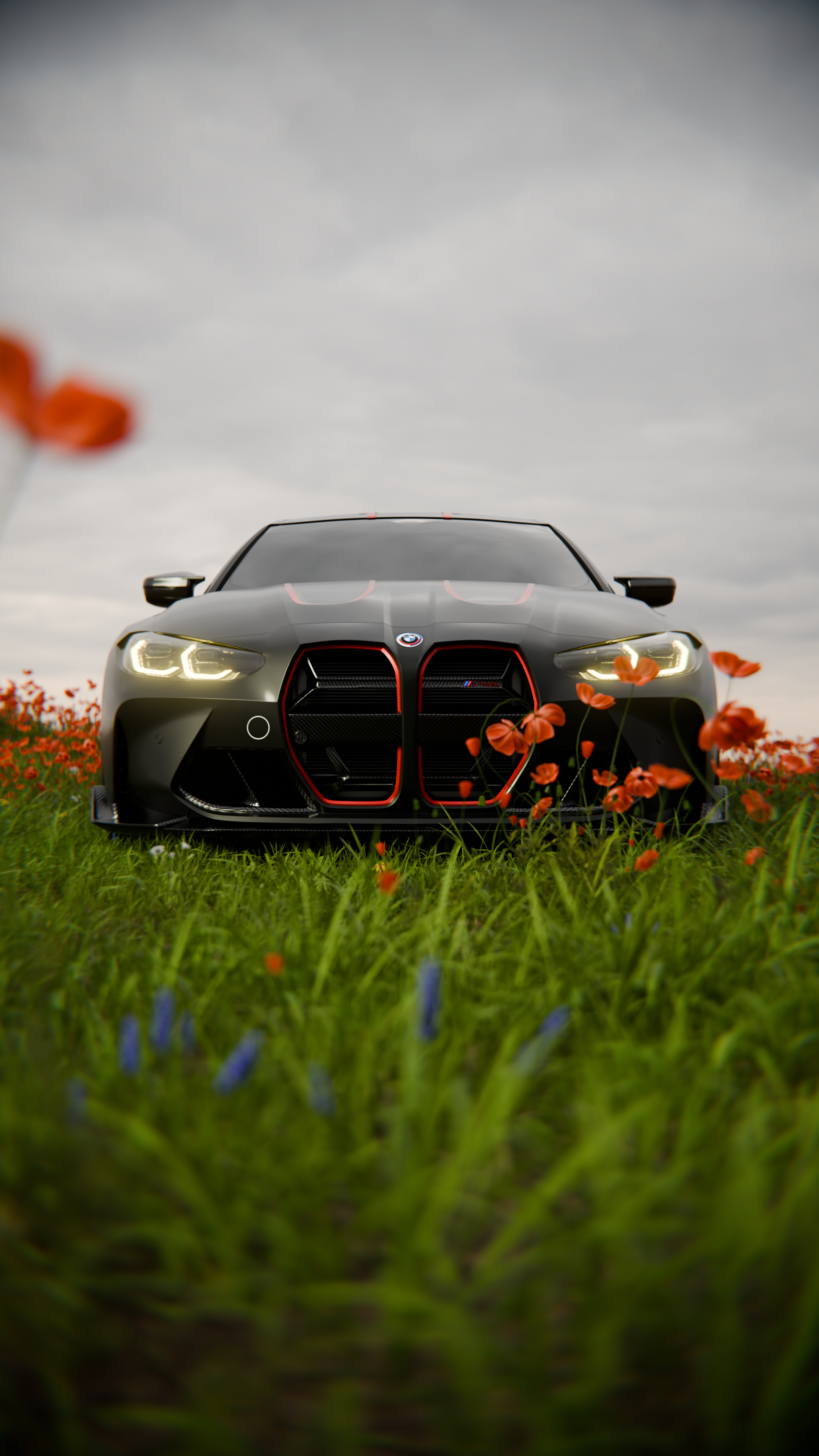 bmw_in_rose_2_5.png