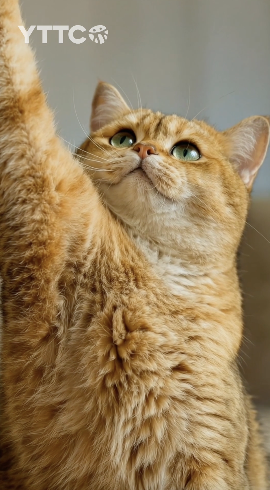 Снимок_экрана_2026_08_09_в_07_53_16.png