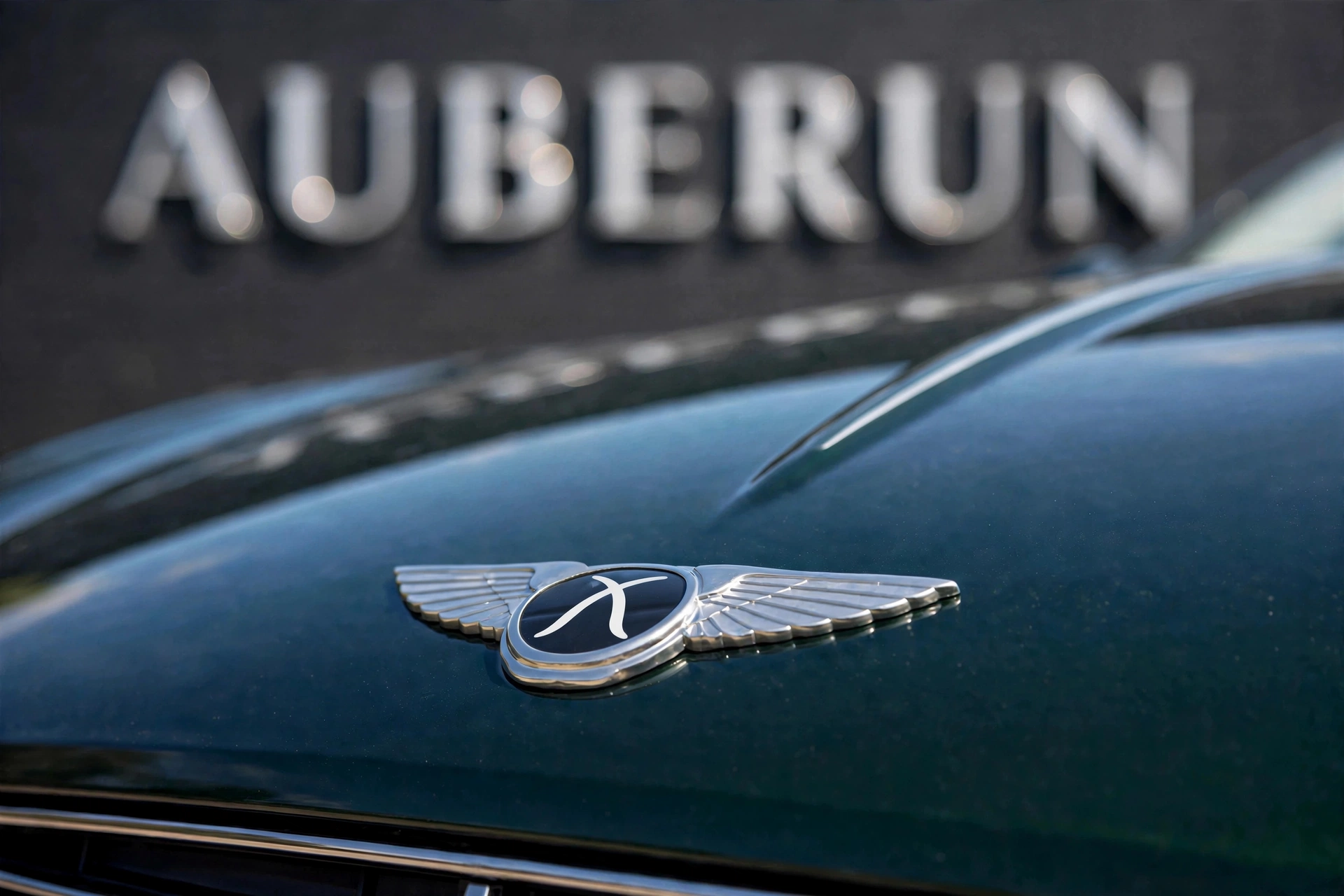 car_hood_emblem_2_0_00_00_00.png