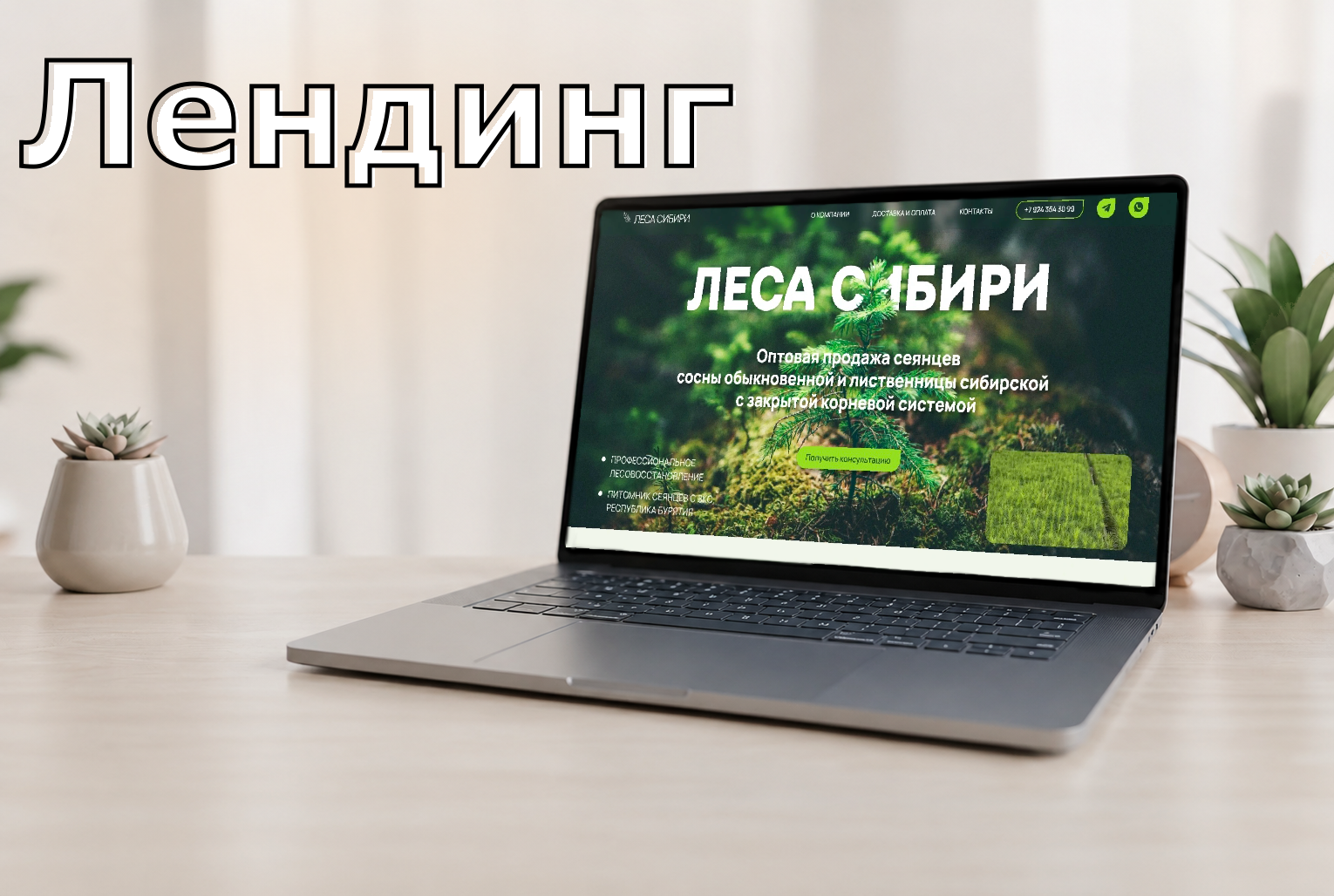 Лендинг: оптовая продажа сеянцев Леса Сибири