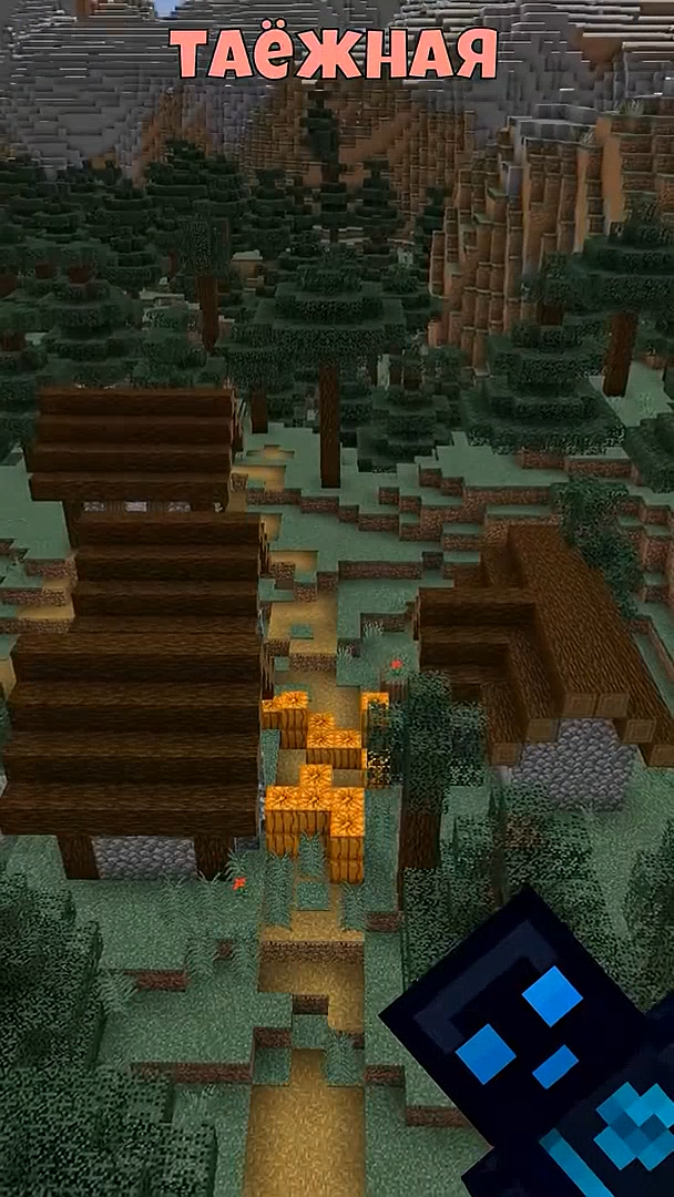 Таёжная_деревня_лучше_равнинной_Разбор_старта_спидрана_в_Minecraft_0_02_28_15.png