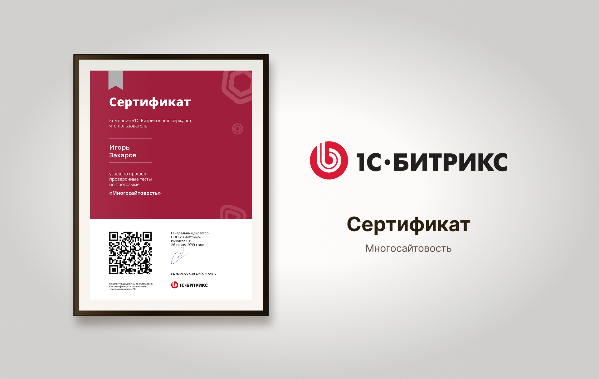 Frame_Многосайтовость.jpg