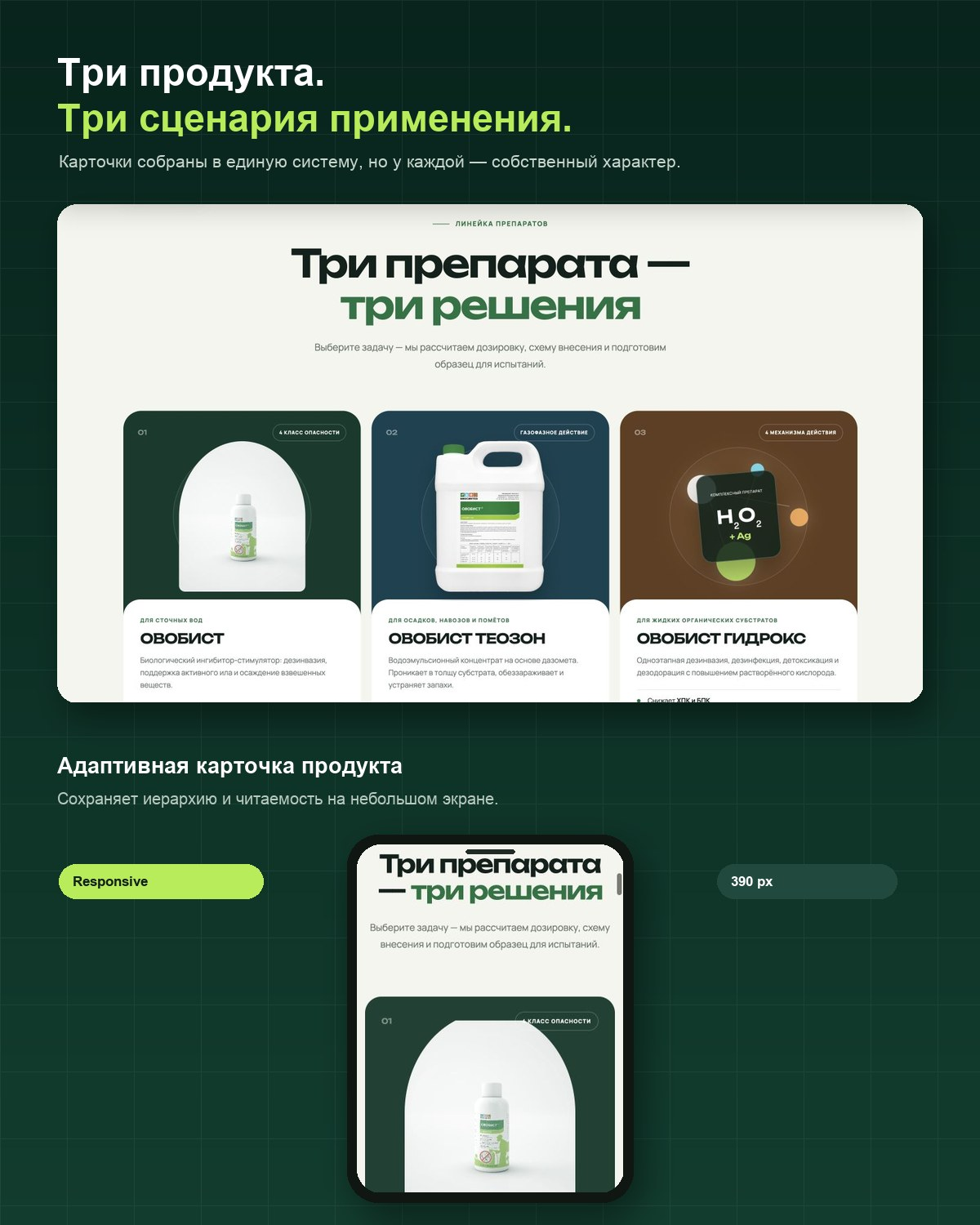 изображение_2026_08_25_161850533.png
