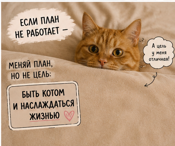 IMG_8314.png