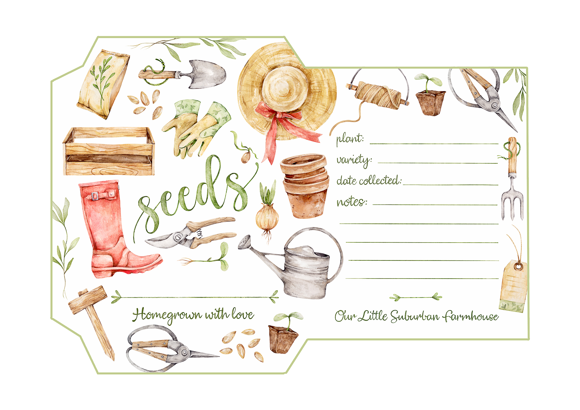 seeds.jpg