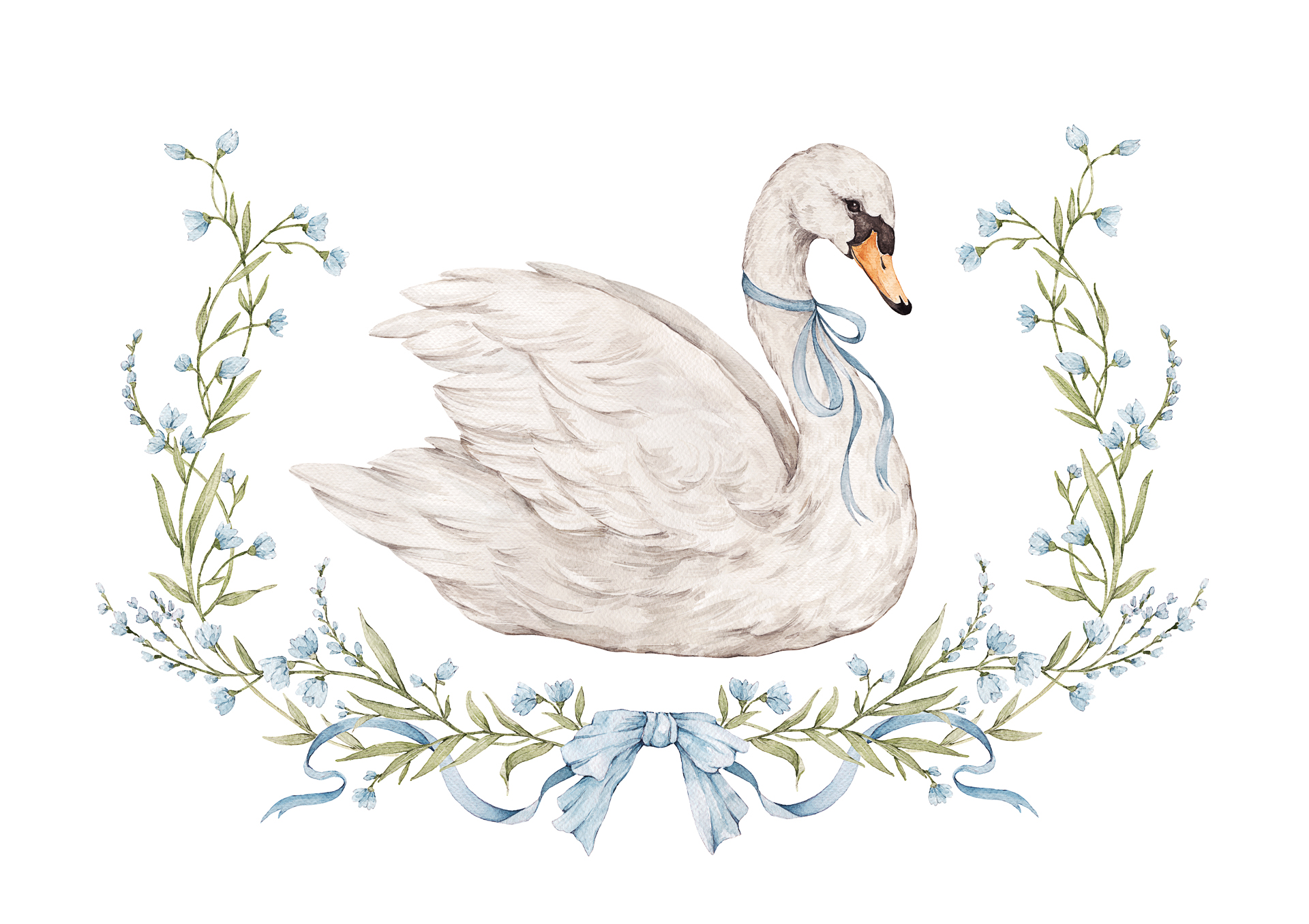 swan.jpg