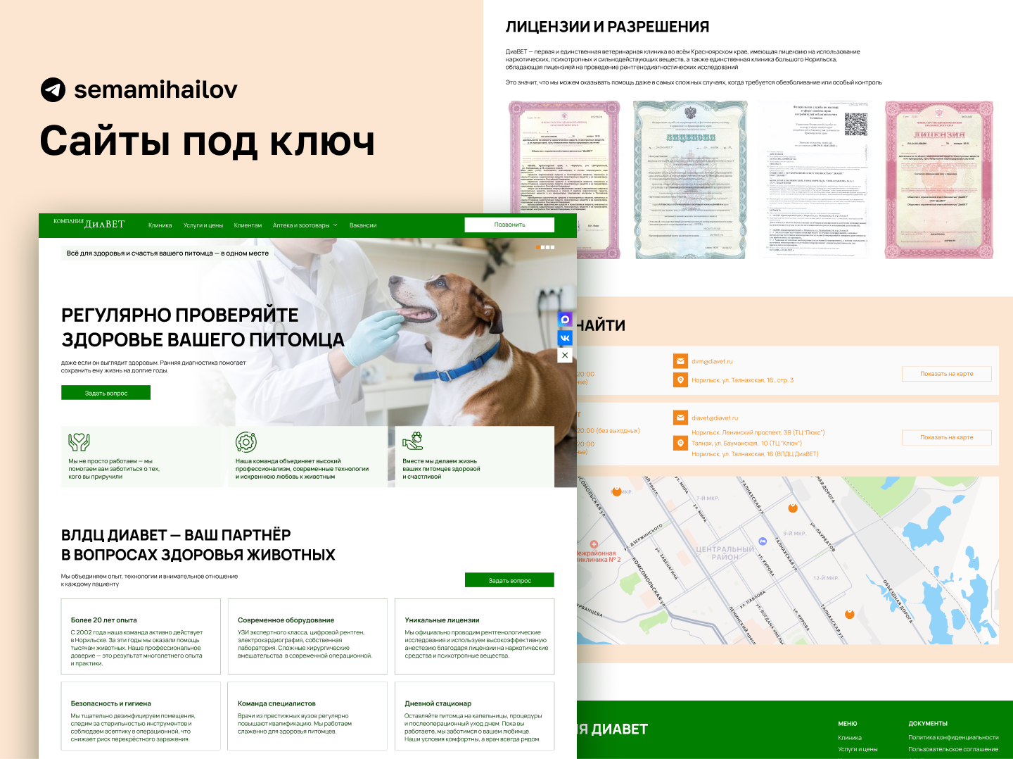 Корпоративный сайт ДиаВЕТ — ветеринарный центр и сеть зоомагазинов в Норильске