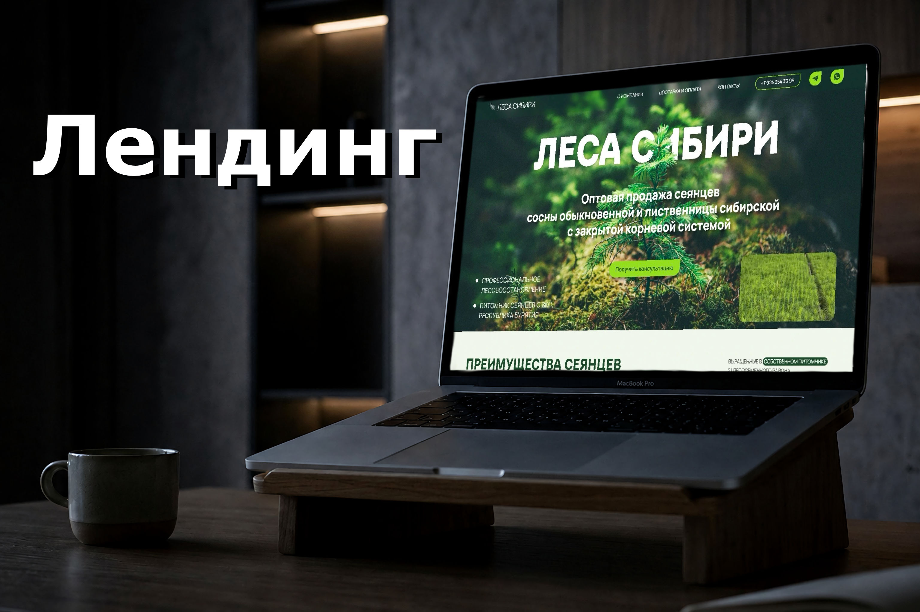 Лендинг: оптовая продажа сеянцев Леса Сибири