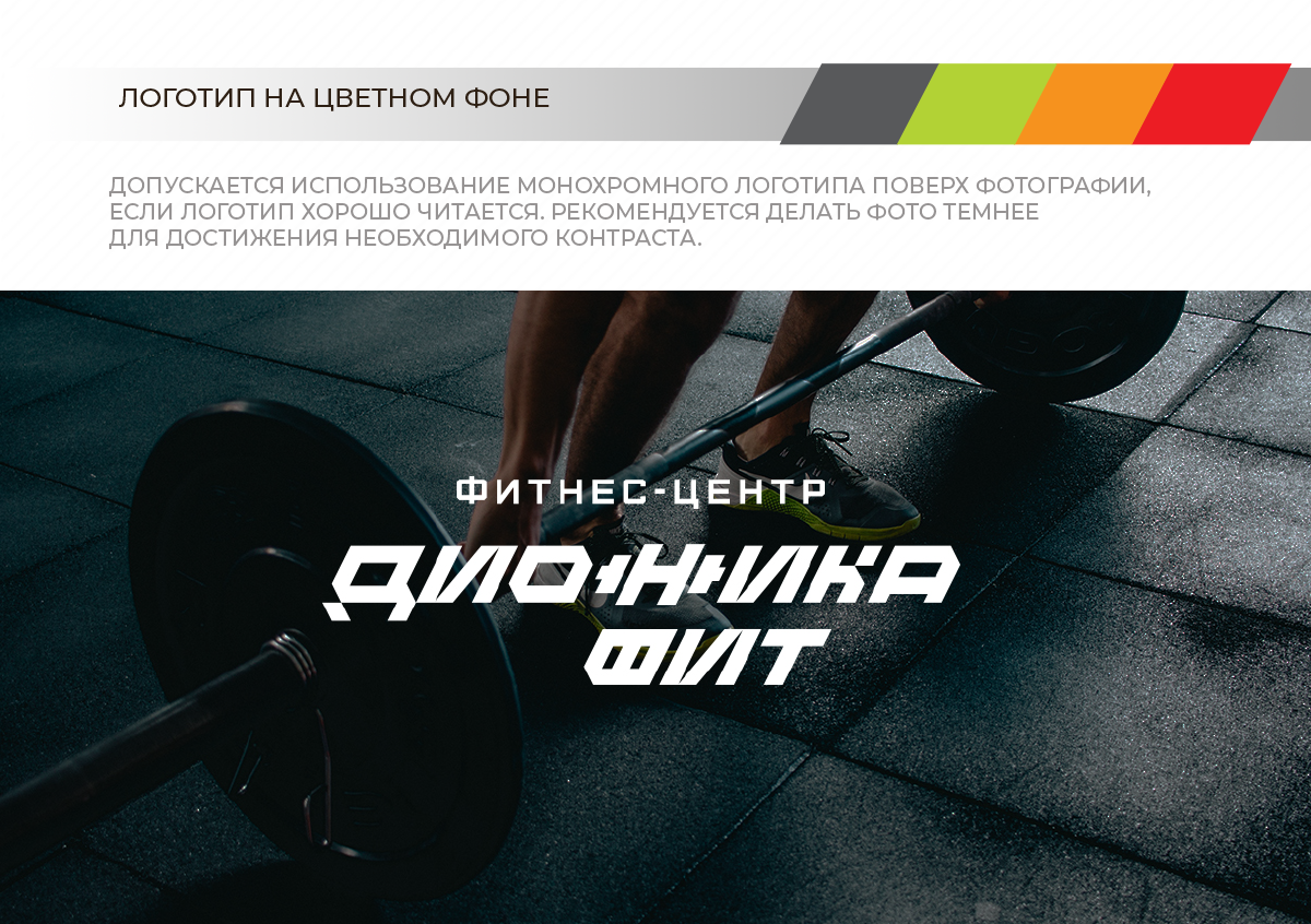 dionika_guide_копия_4.png