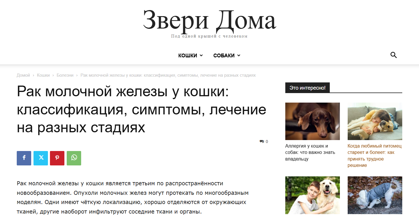 Рак молочной железы у кошки