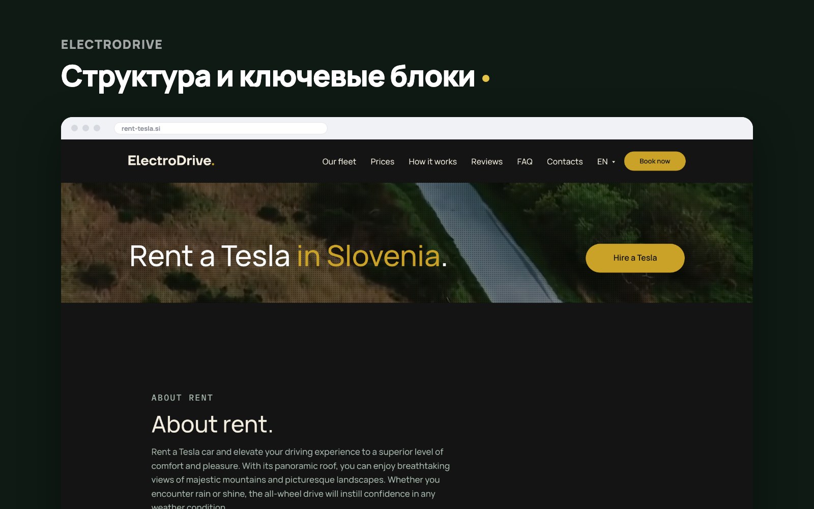 rent_tesla_02.jpg