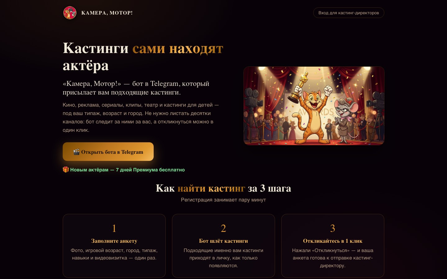w_kameramotor_online.jpg