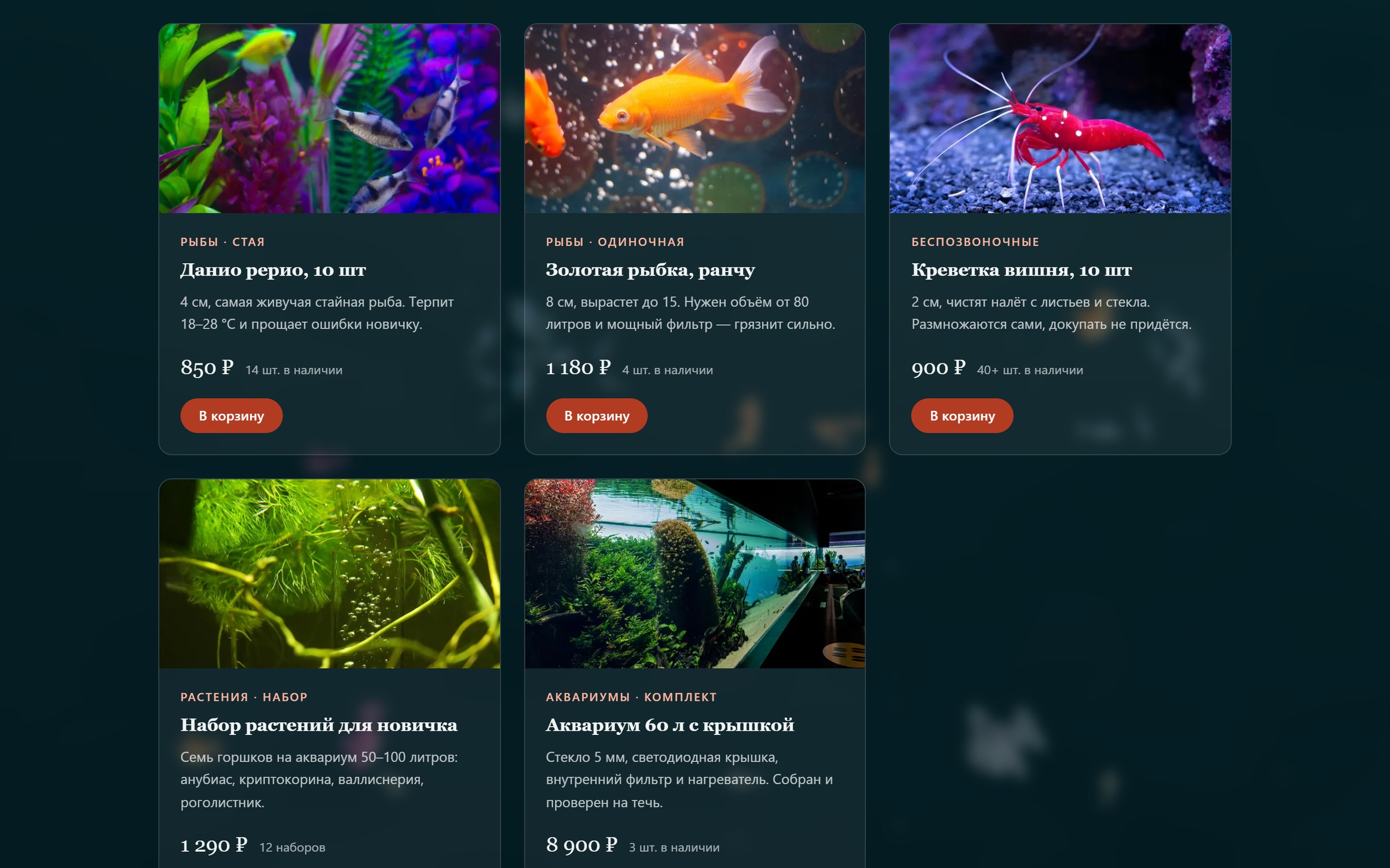 04_reef_catalog.jpg