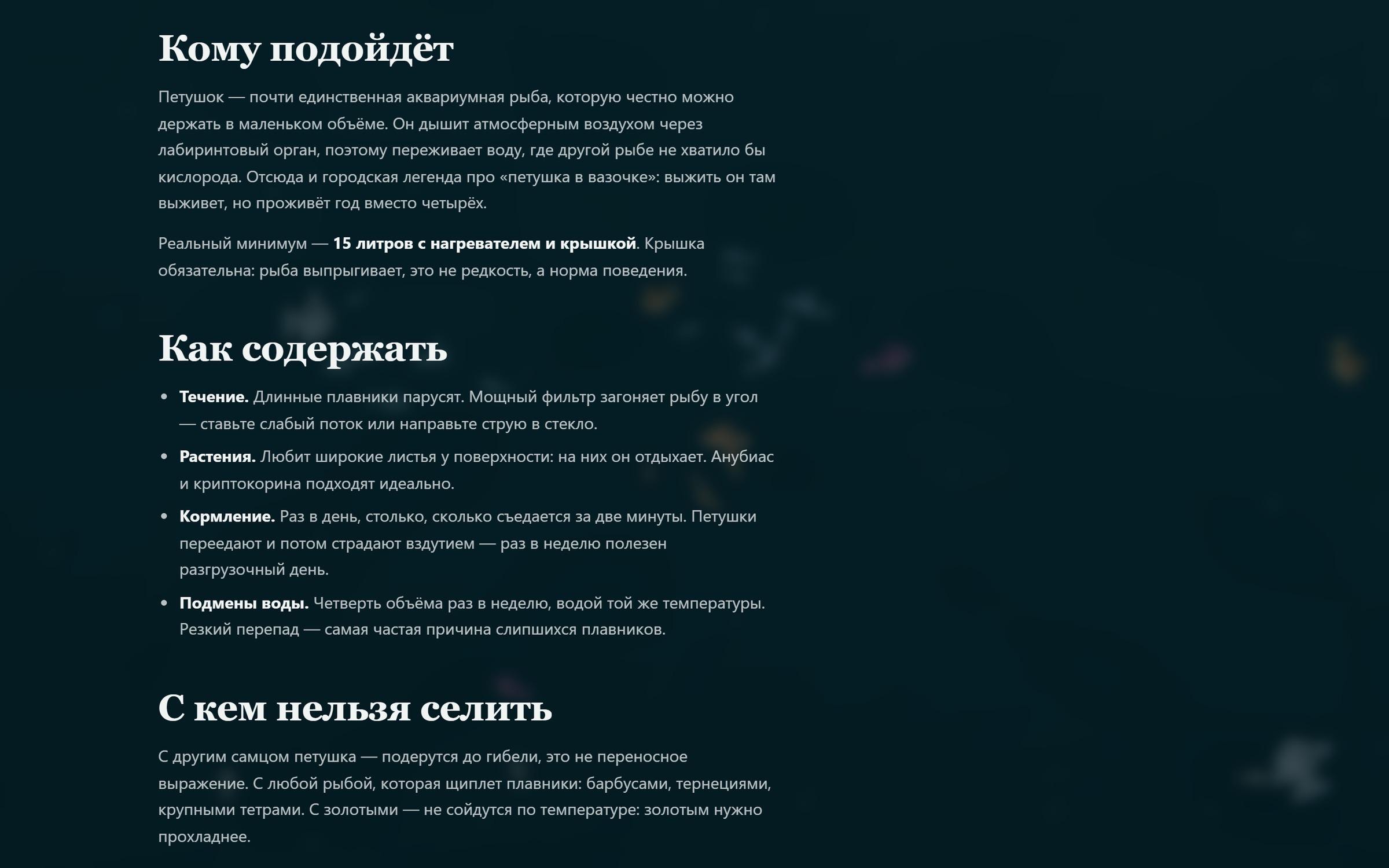 05_reef_product.jpg