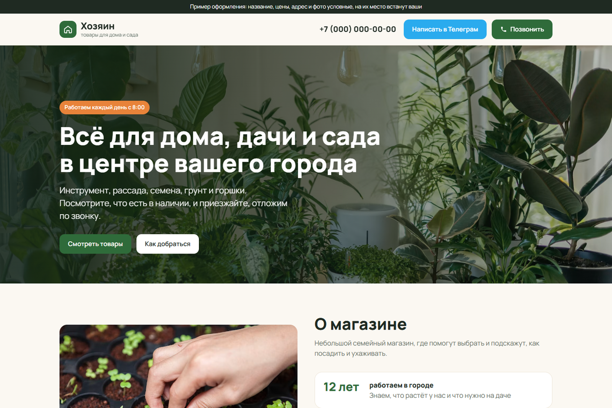 Прототип сайта-витрины магазина без корзины