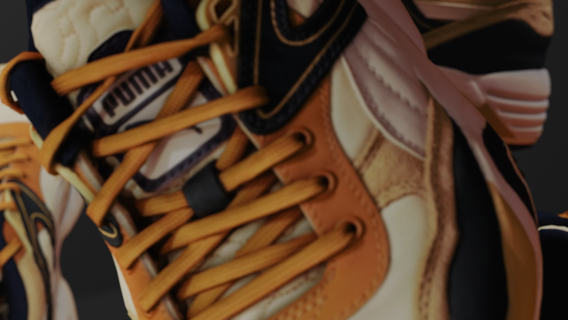 Puma_5_2.png