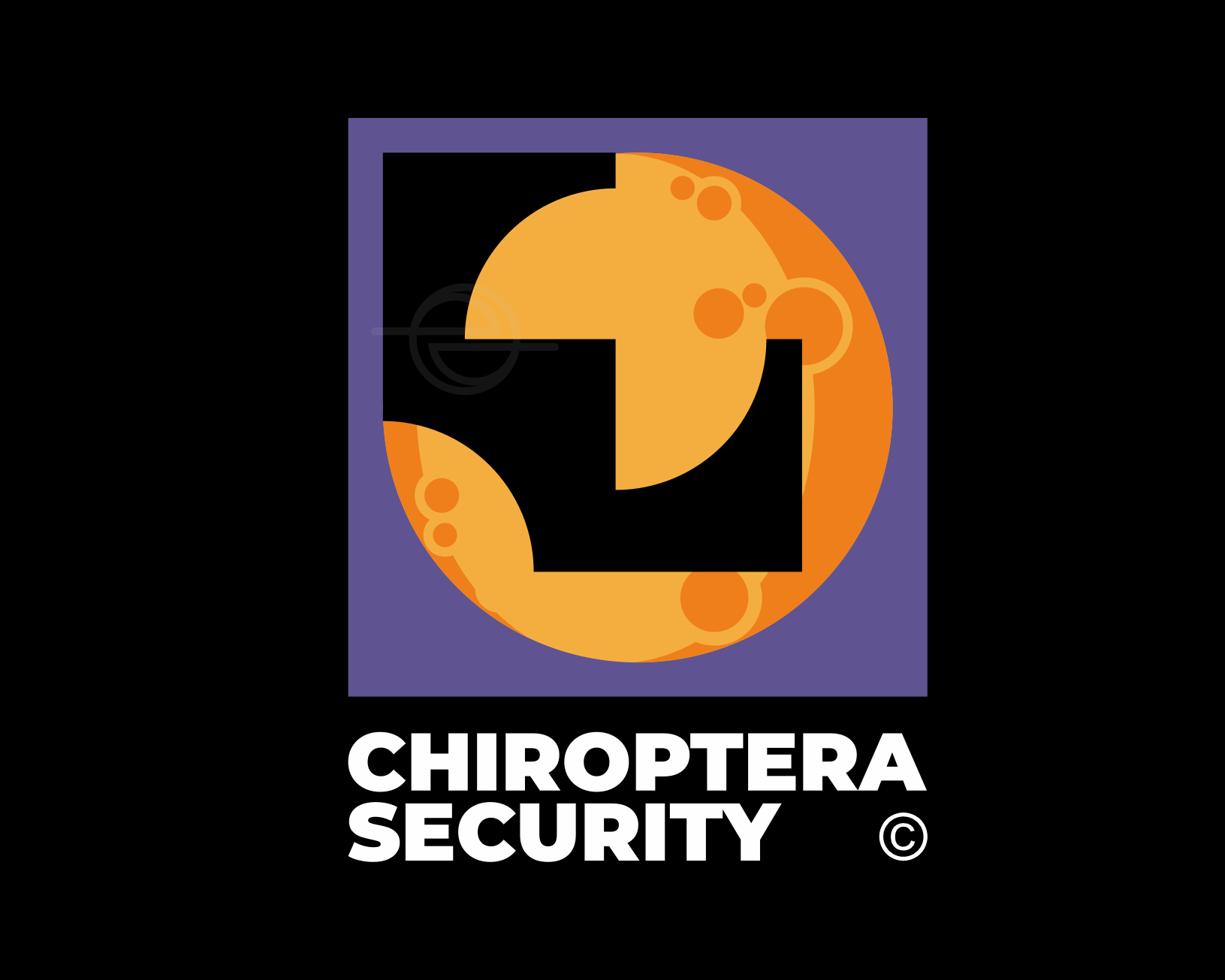 Chiroptera Security