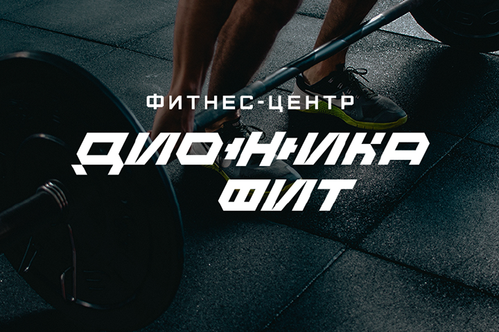 Дионика Фит / Гайдбук