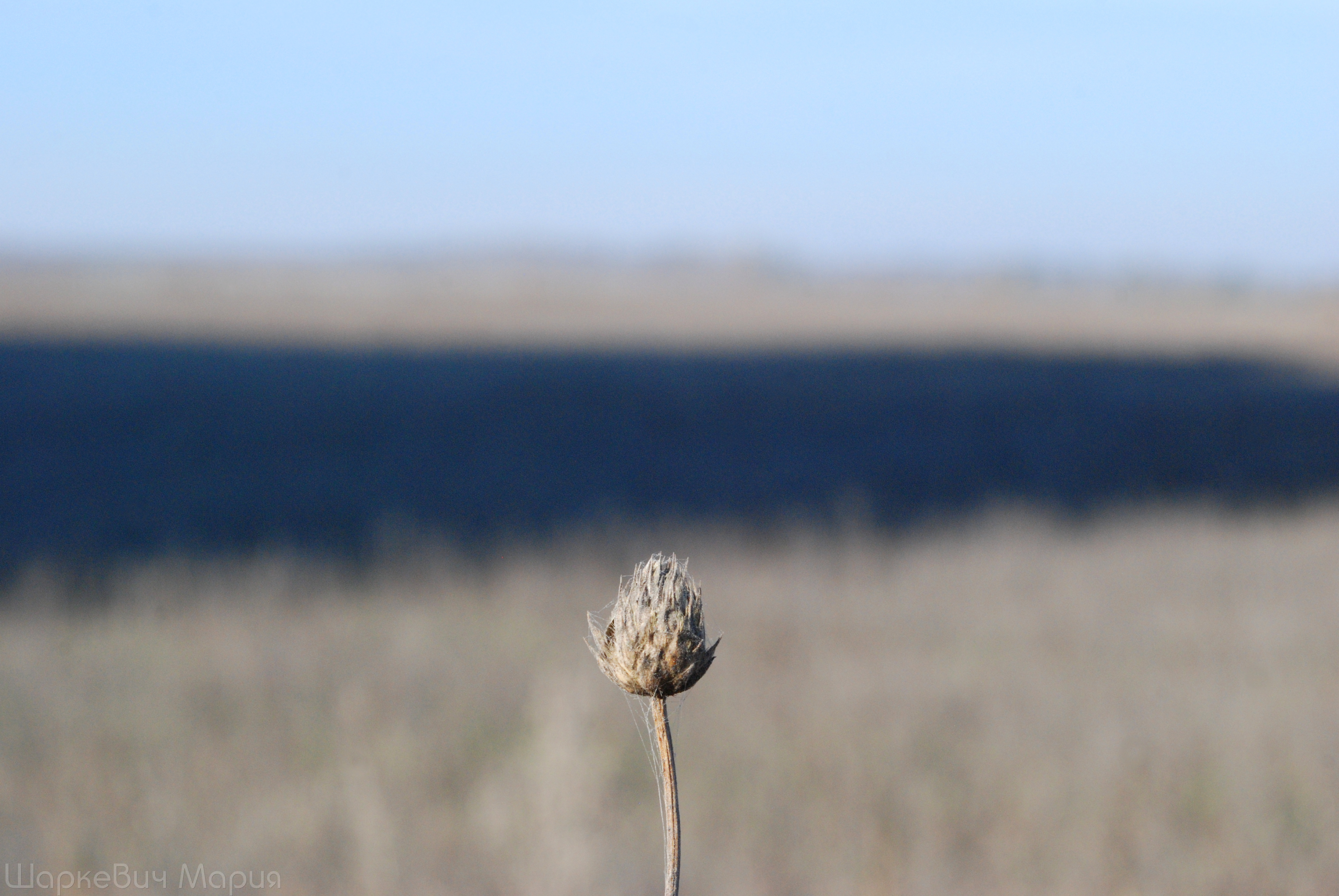 DSC_0457.JPG