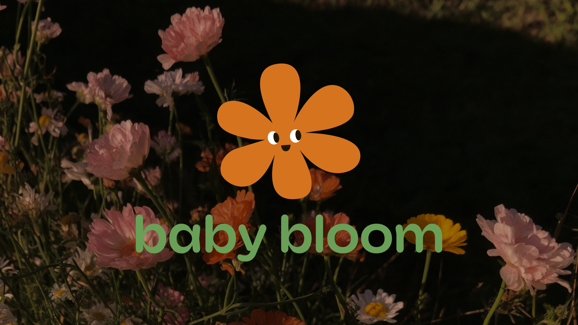 Разработка фирменного стиля для детских развивающих игр "Baby bloom"