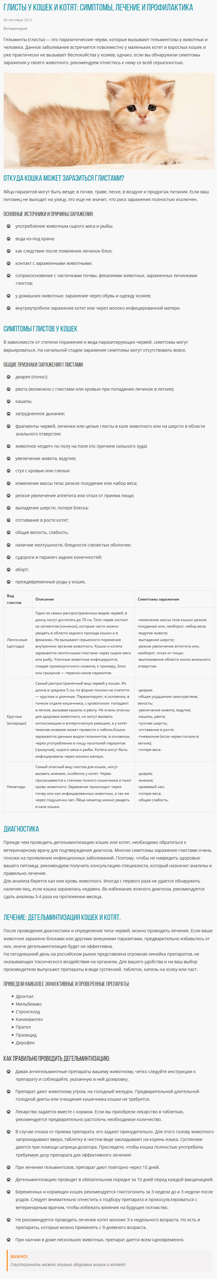 Глисты-у-кошек-и-котят--симптомы,-лечение-и-профилактика---Интер