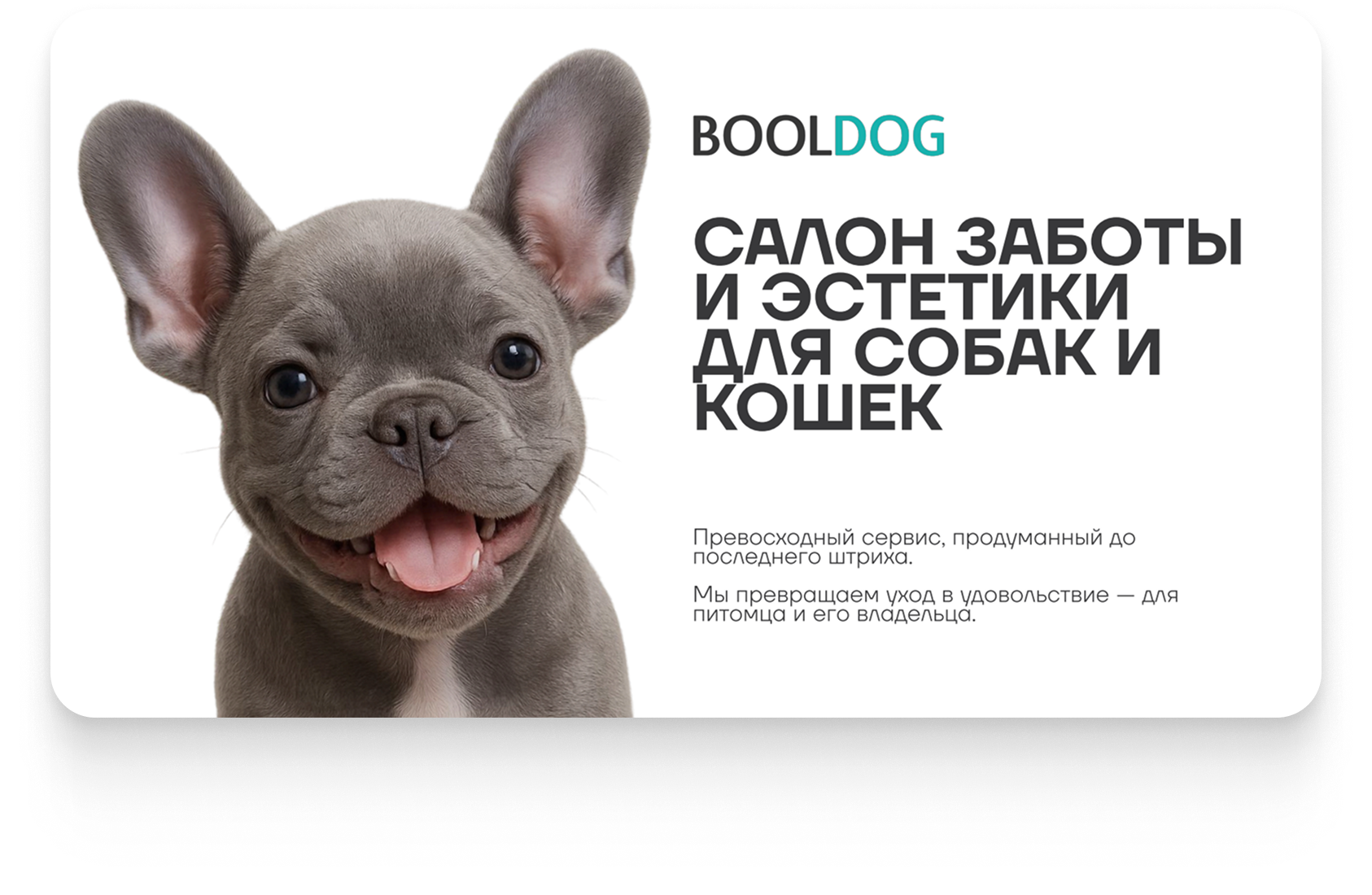 Разработка презентации для груминг-салона BOOLDOG — услуги, преимущества и бизнес-показатели