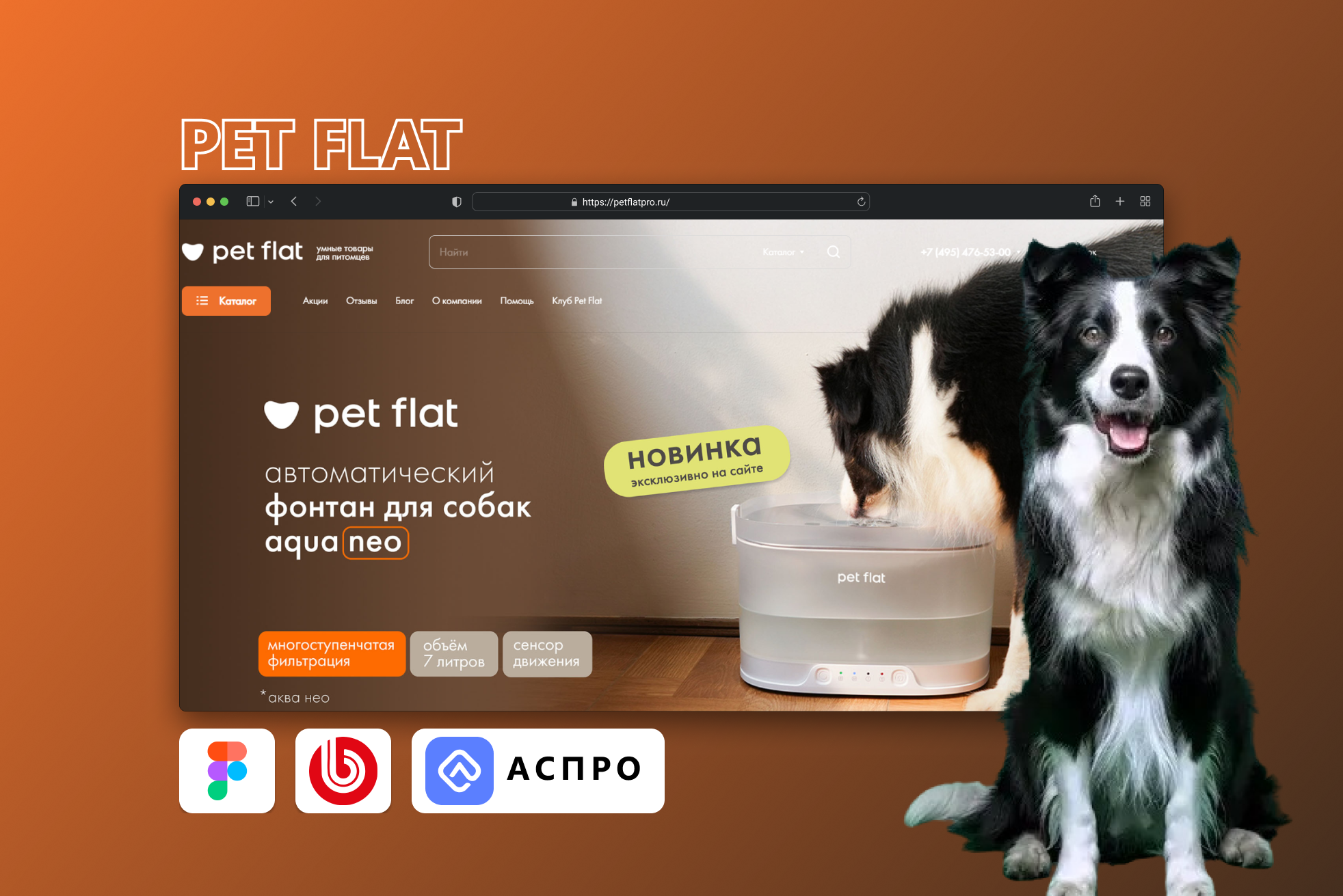 Разработка интернет-магазина Pet Flat с адаптивным интерфейсом и функционалом для продажи товаров для домашних питомцев.