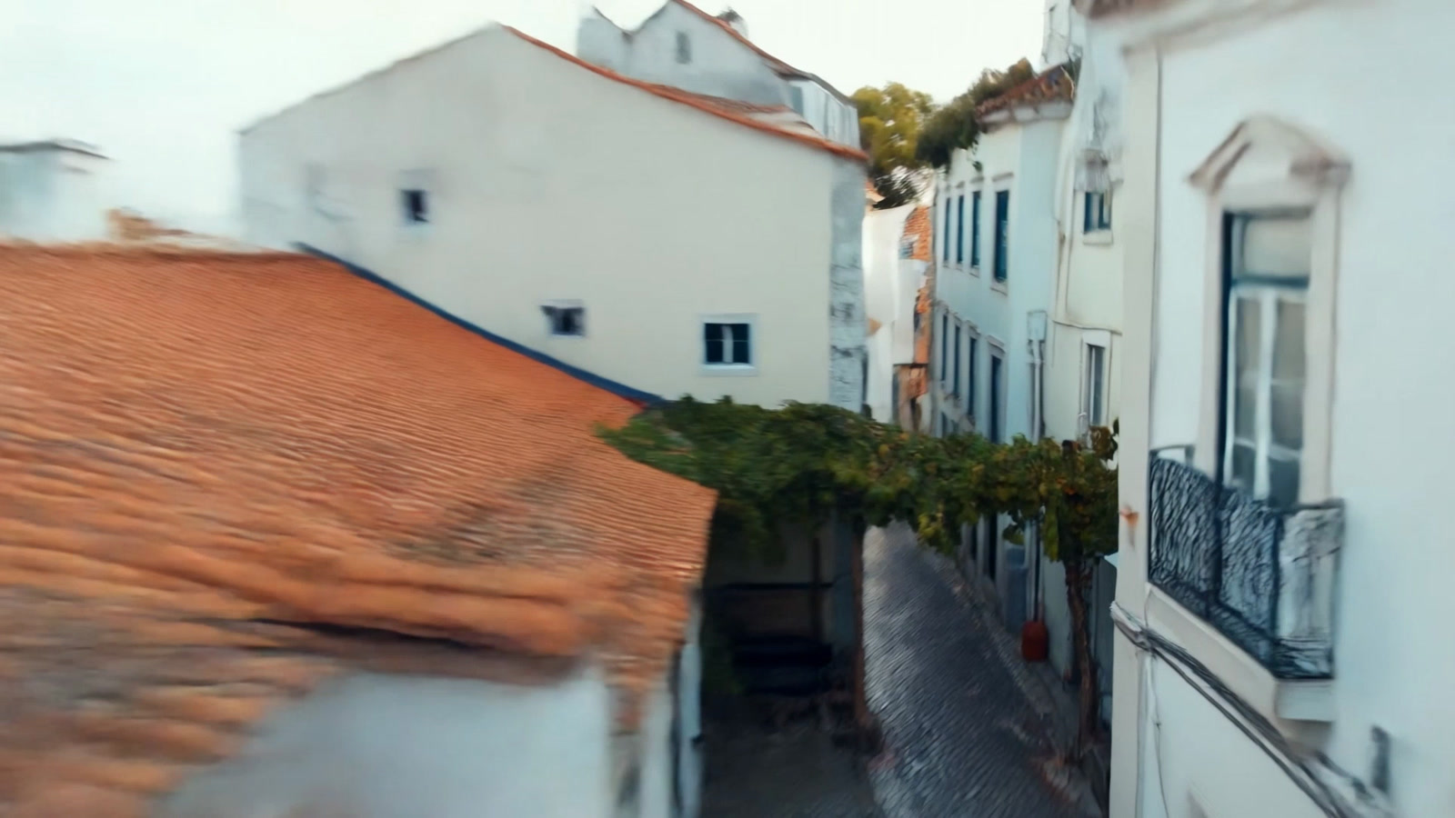 kadr_3_dvor.jpg