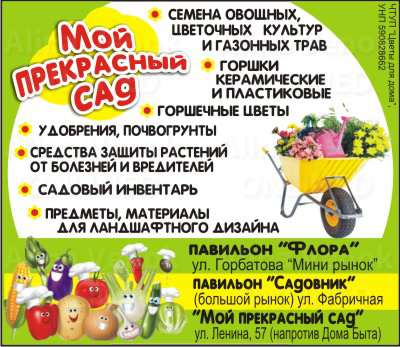 img53 копия.jpg