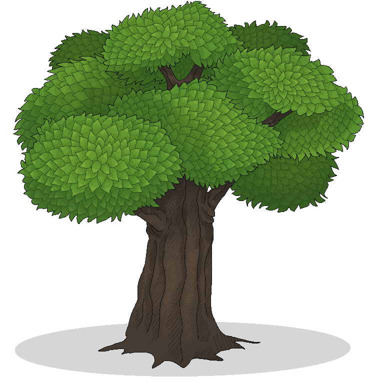 Oak.png