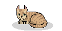 Kitten.png