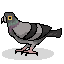 Pigeon.png