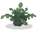 Monstera_fern.png
