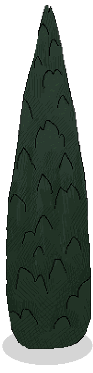 Cypress.png