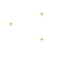 Rare_flowers.png