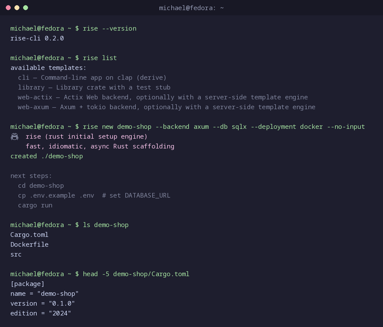 rise_terminal_raw.png