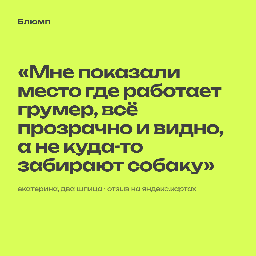 07_tsitata_prozrachno.png