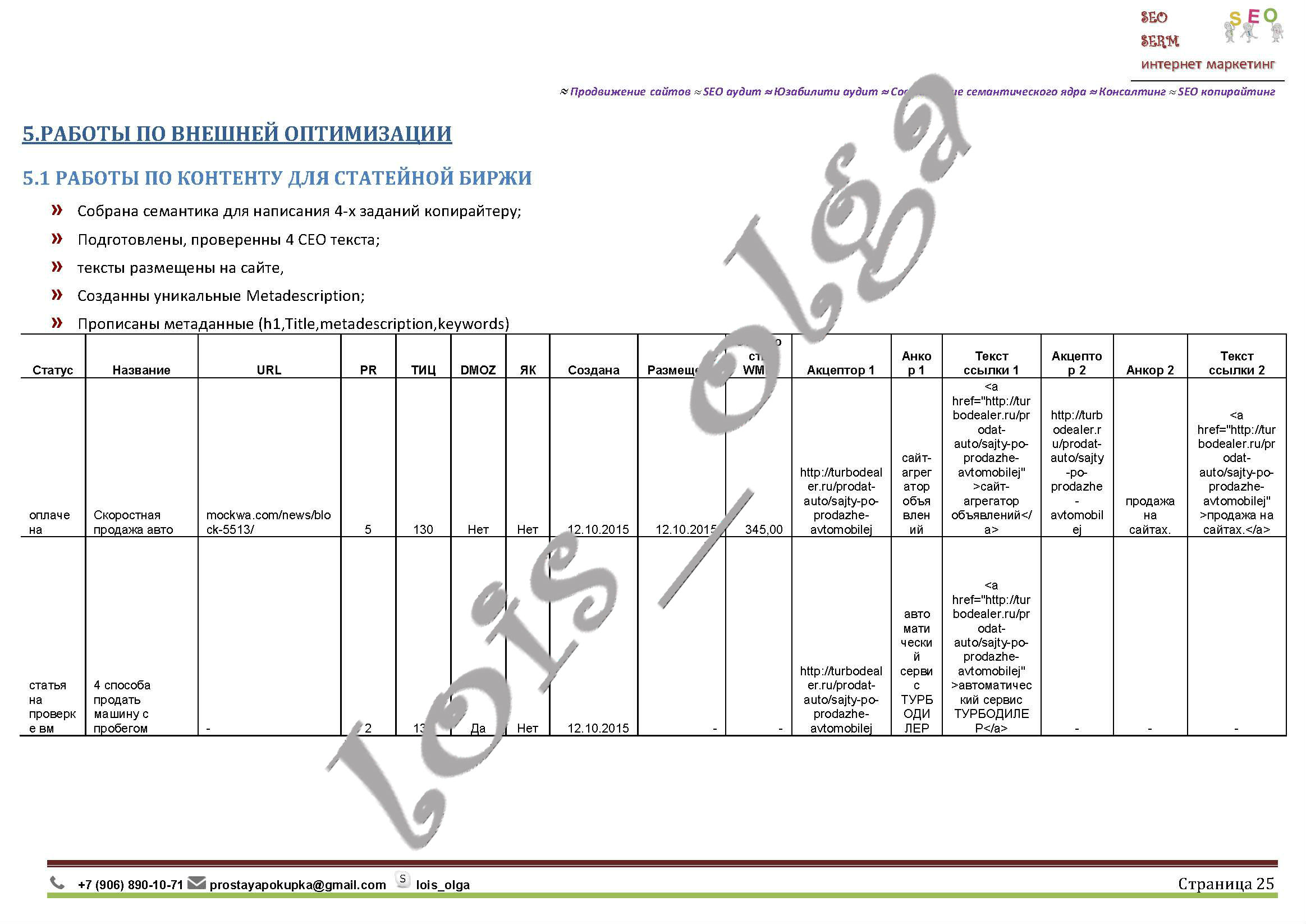 Отчет turbodealer25.jpg