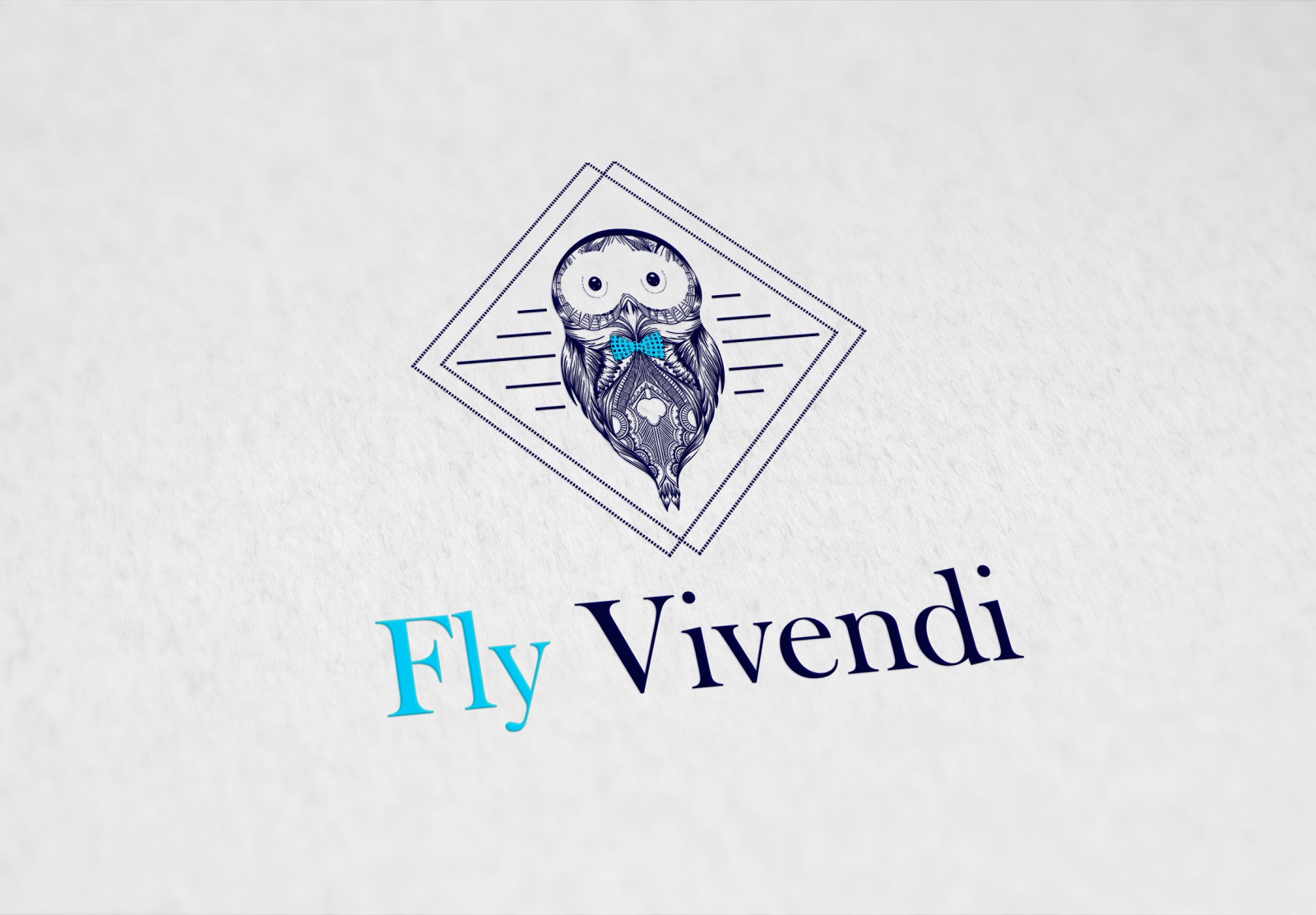 fly vivendy (2).jpg