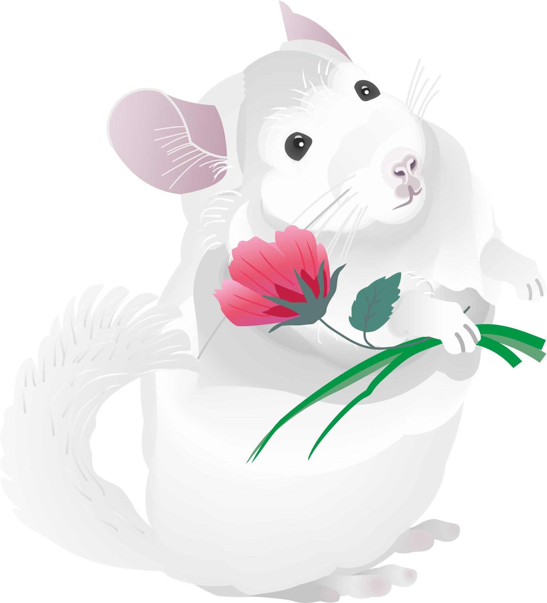 Футболка_Белая и пушистая.png