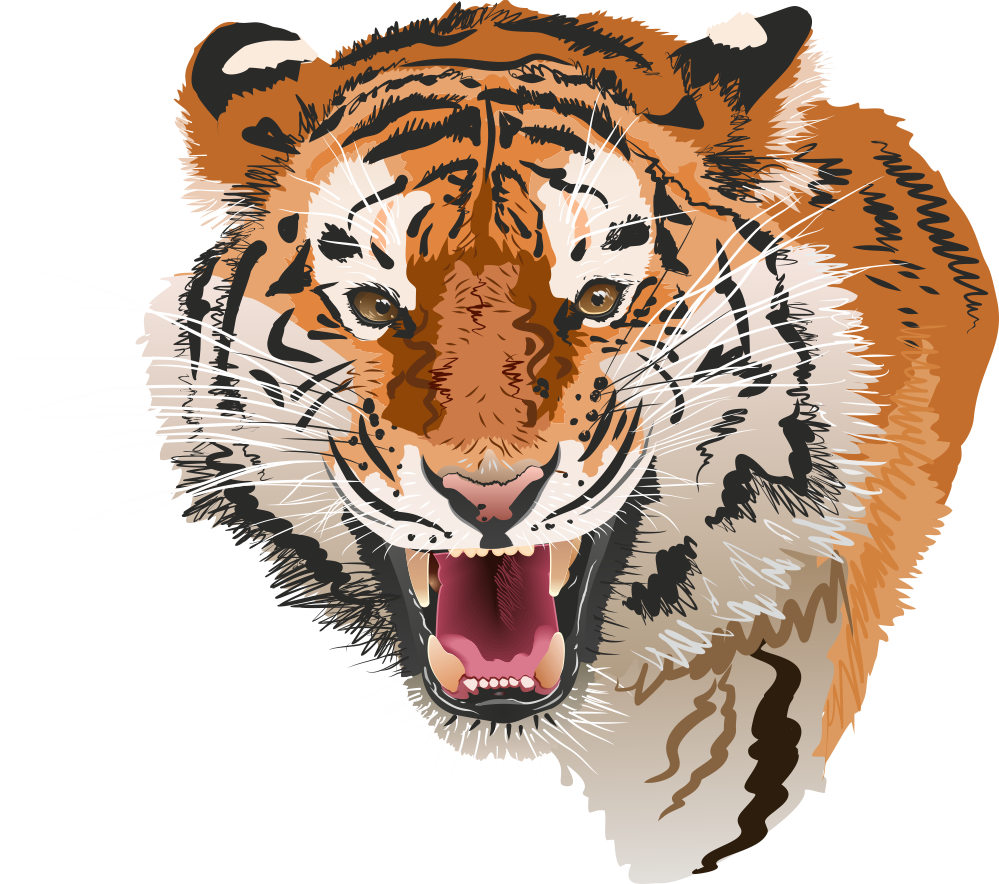 Тигр.png